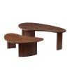 2-Piece Modern Irregular Shape Coffee Table Set For Living Room,Easy Assembly Nesting Coffee Tables, End Side Tables For Living Room Office,Walnut Color